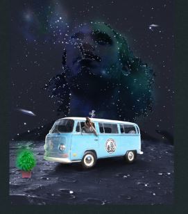 DOE Campervan T-Shirt